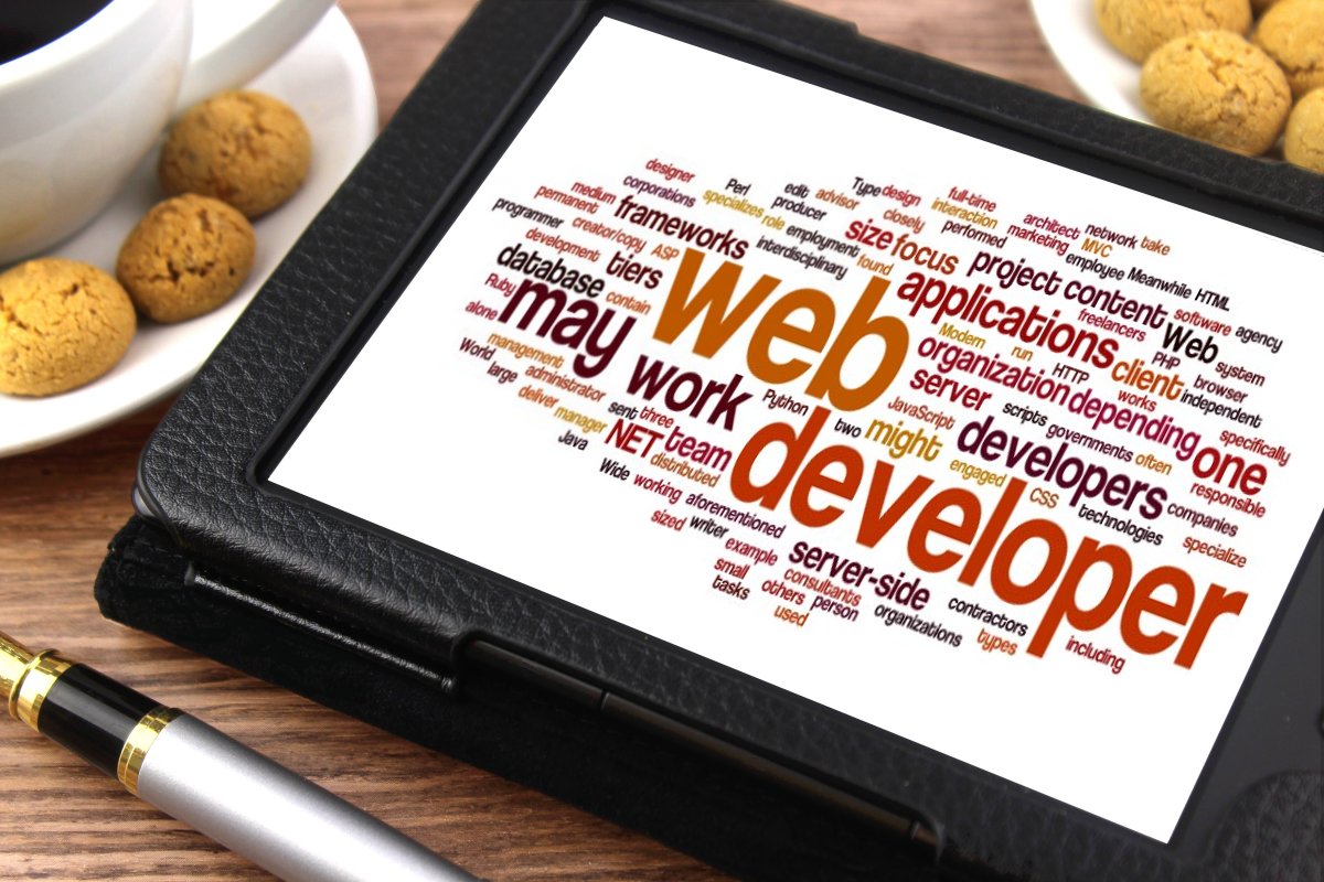The difference between web development and web developer