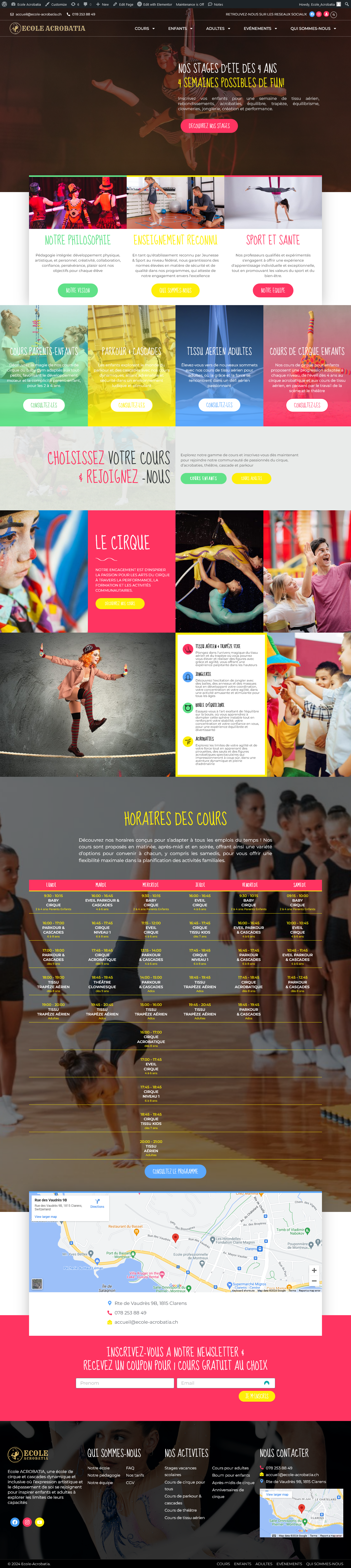 Acrobatic school website